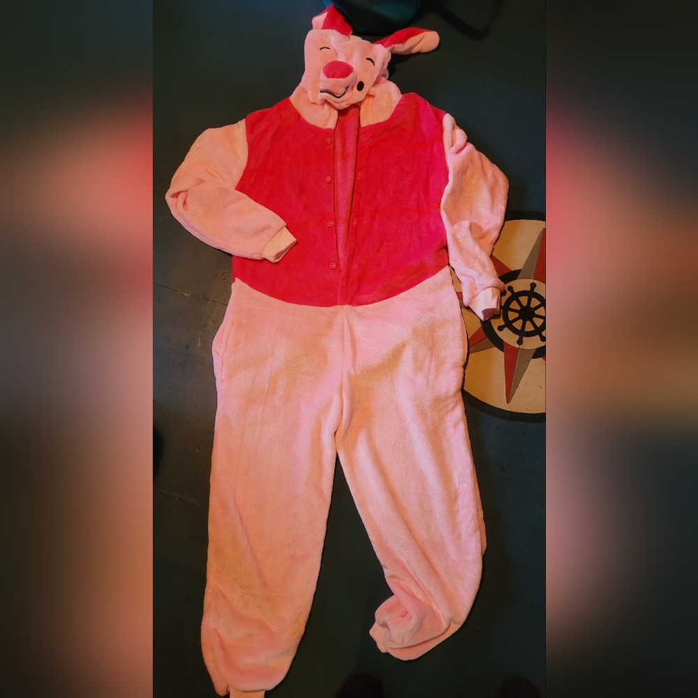 Piglet Costume/onesie